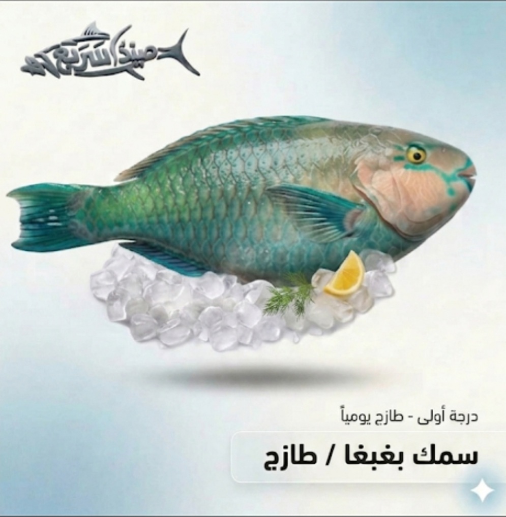 سمك بغبغاء كامل