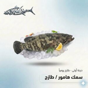 سمك هامور كامل