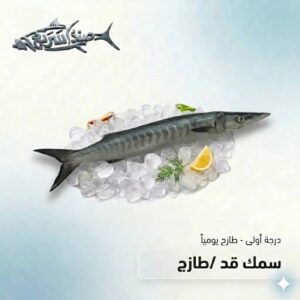 سمك قد كامل