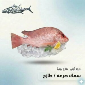 سمك صرعه كامل