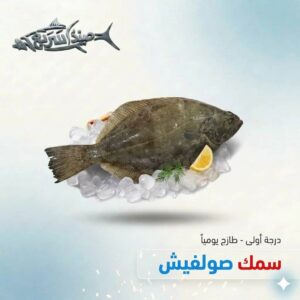 سمك صولفيش كامل